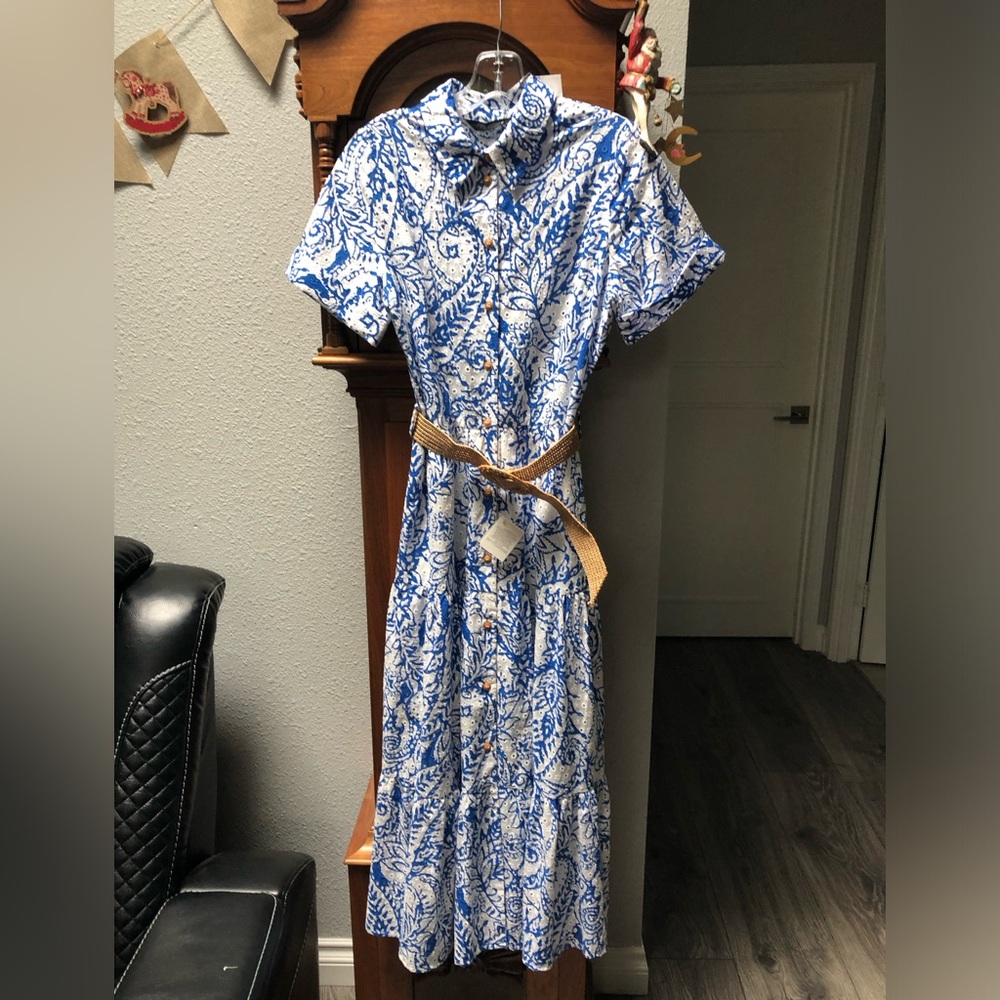 Zara Blue and White Paisley Button-Front Maxi Dress - Picture 3 of 10